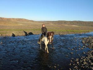 exkurze na koni Island