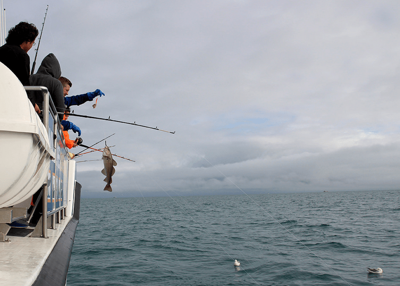 rybolov na lodi na Islandu
