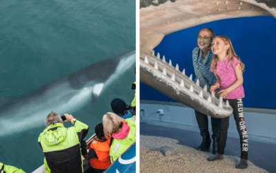 Pozorování velryb s návštěvou muzea
