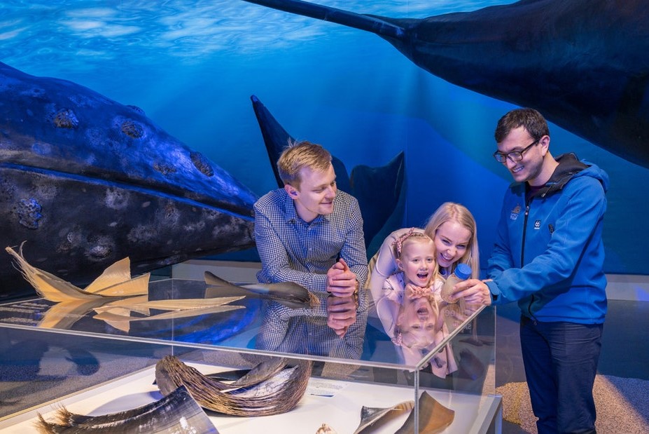 Muzeum velryb na Islandu