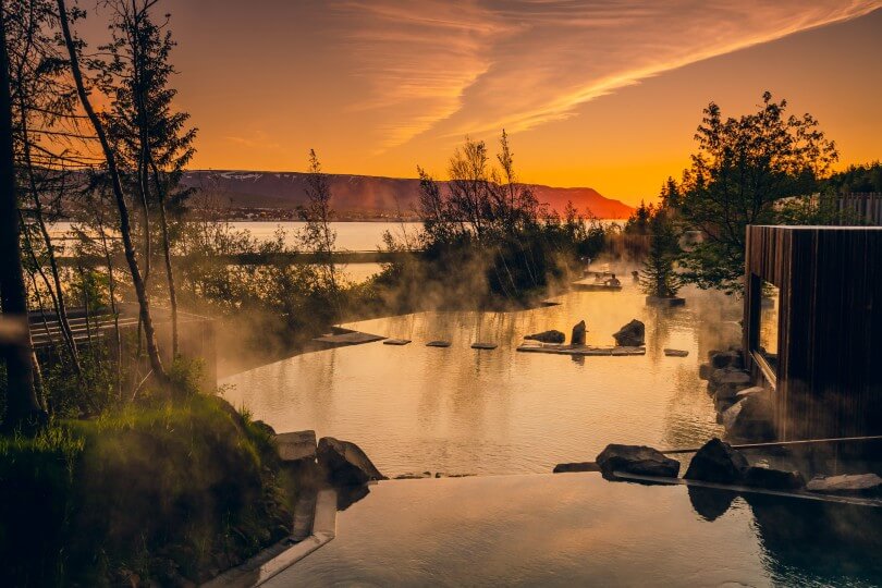 Laguna Forest Lagoon Island